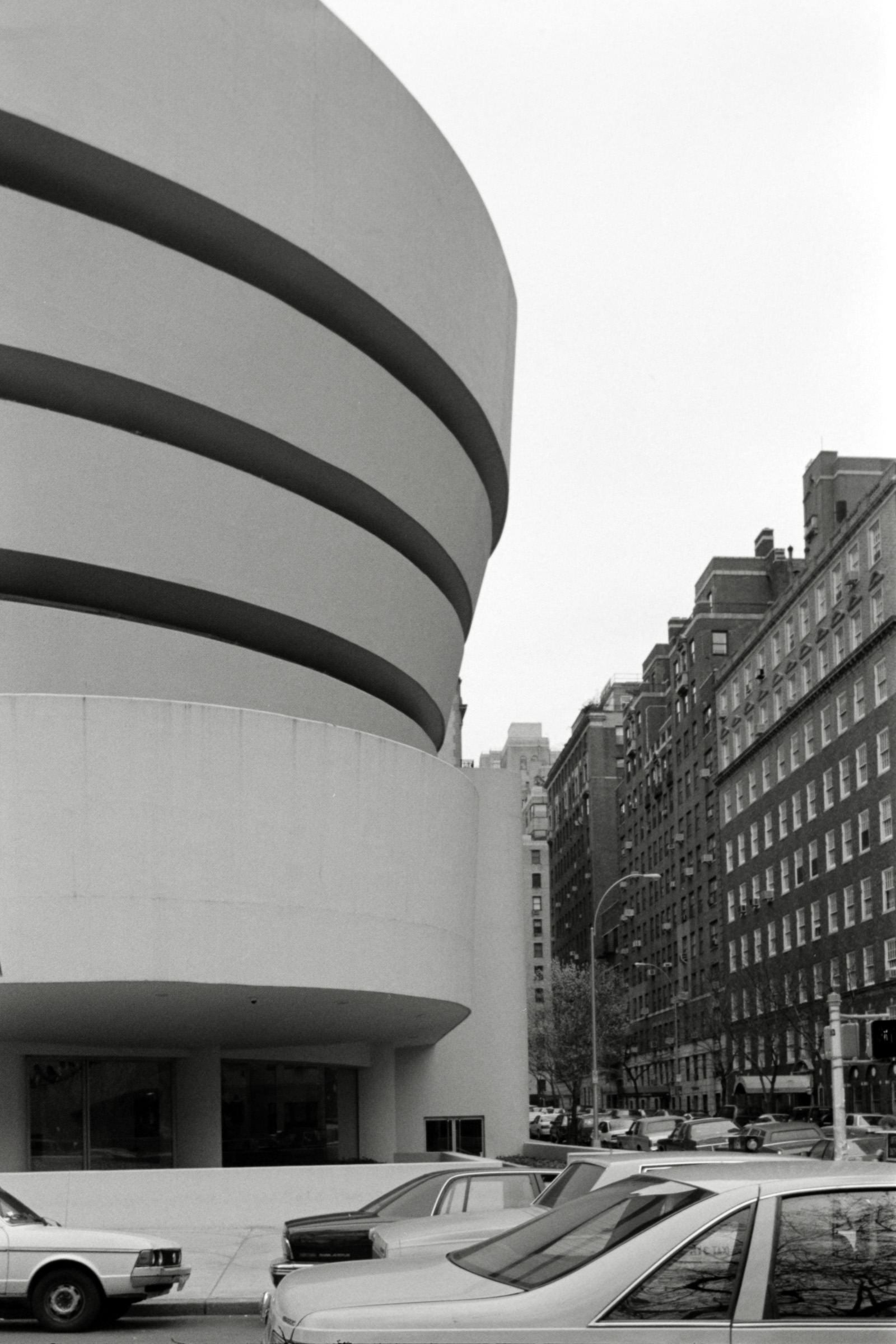 AHP F1995 04 005 sc240817 img05 NLP